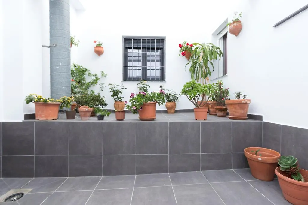 ** Guest house Hostal El Yunque Conil De La Frontera Spain